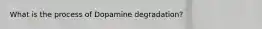 What is the process of Dopamine degradation?