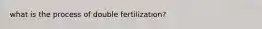 what is the process of double fertilization?