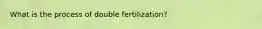 What is the process of double fertilization?