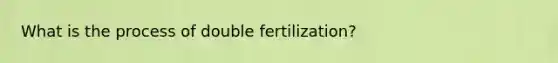 What is the process of double fertilization?