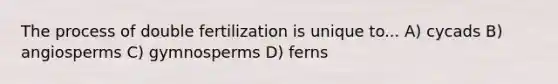 The process of double fertilization is unique to... A) cycads B) angiosperms C) gymnosperms D) ferns