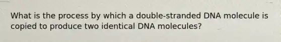 What is the process by which a double-stranded DNA molecule is copied to produce two identical DNA molecules?