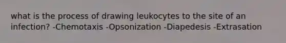 what is the process of drawing leukocytes to the site of an infection? -Chemotaxis -Opsonization -Diapedesis -Extrasation