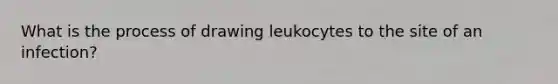 What is the process of drawing leukocytes to the site of an infection?