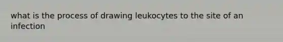 what is the process of drawing leukocytes to the site of an infection