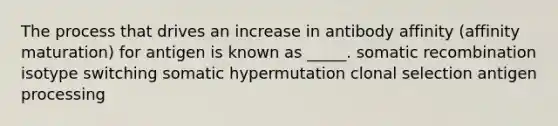 The process that drives an increase in antibody affinity (affinity maturation) for antigen is known as _____. somatic recombination isotype switching somatic hypermutation clonal selection antigen processing