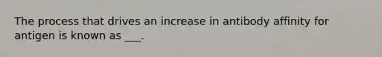 The process that drives an increase in antibody affinity for antigen is known as ___.