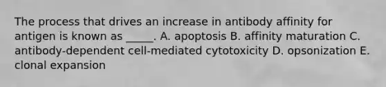 The process that drives an increase in antibody affinity for antigen is known as _____. A. apoptosis B. affinity maturation C. antibody-dependent cell-mediated cytotoxicity D. opsonization E. clonal expansion