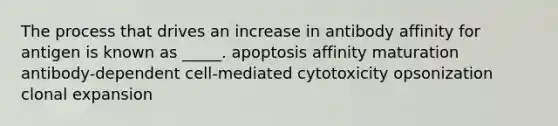 The process that drives an increase in antibody affinity for antigen is known as _____. apoptosis affinity maturation antibody-dependent cell-mediated cytotoxicity opsonization clonal expansion