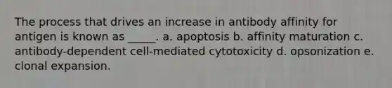 The process that drives an increase in antibody affinity for antigen is known as _____. a. apoptosis b. affinity maturation c. antibody-dependent cell-mediated cytotoxicity d. opsonization e. clonal expansion.