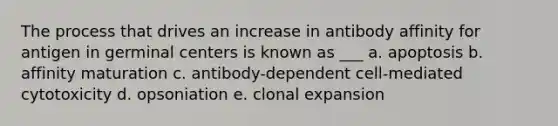 The process that drives an increase in antibody affinity for antigen in germinal centers is known as ___ a. apoptosis b. affinity maturation c. antibody-dependent cell-mediated cytotoxicity d. opsoniation e. clonal expansion