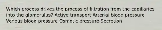 Which process drives the process of filtration from the capillaries into the glomerulus? Active transport Arterial blood pressure Venous blood pressure Osmotic pressure Secretion