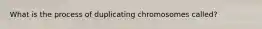 What is the process of duplicating chromosomes called?