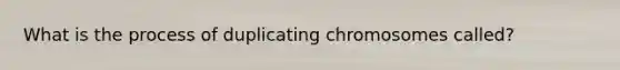 What is the process of duplicating chromosomes called?