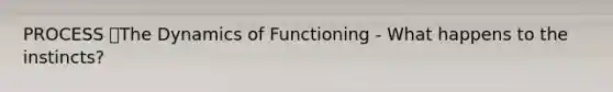 PROCESS The Dynamics of Functioning - What happens to the instincts?