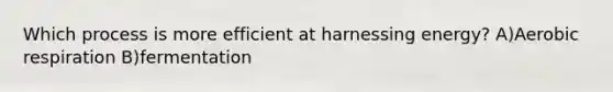 Which process is more efficient at harnessing energy? A)Aerobic respiration B)fermentation