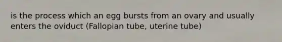 is the process which an egg bursts from an ovary and usually enters the oviduct (Fallopian tube, uterine tube)