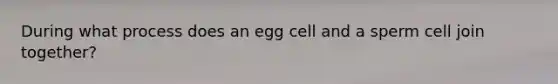 During what process does an egg cell and a sperm cell join together?