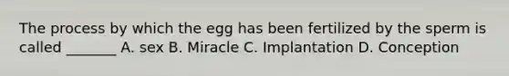 The process by which the egg has been fertilized by the sperm is called _______ A. sex B. Miracle C. Implantation D. Conception