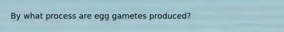 By what process are egg gametes produced?