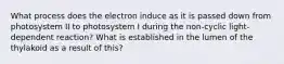 What process does the electron induce as it is passed down from photosystem II to photosystem I during the non-cyclic light-dependent reaction? What is established in the lumen of the thylakoid as a result of this?