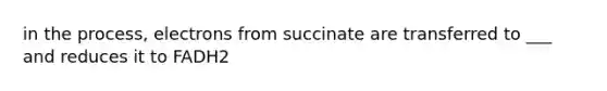 in the process, electrons from succinate are transferred to ___ and reduces it to FADH2