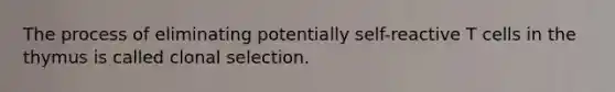 The process of eliminating potentially self-reactive T cells in the thymus is called clonal selection.