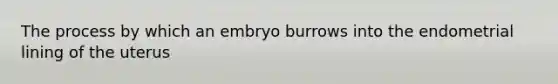 The process by which an embryo burrows into the endometrial lining of the uterus