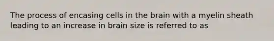 The process of encasing cells in the brain with a myelin sheath leading to an increase in brain size is referred to as