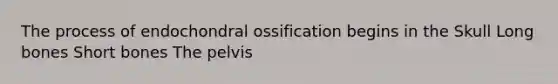 The process of endochondral ossification begins in the Skull Long bones Short bones The pelvis