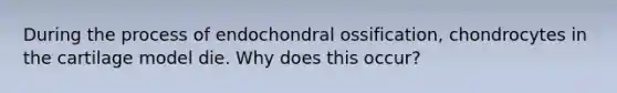 During the process of endochondral ossification, chondrocytes in the cartilage model die. Why does this occur?