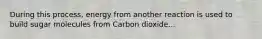 During this process, energy from another reaction is used to build sugar molecules from Carbon dioxide...