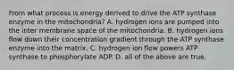 From what process is energy derived to drive the ATP synthase enzyme in the mitochondria? A. hydrogen ions are pumped into the inter membrane space of the mitochondria. B. hydrogen ions flow down their concentration gradient through the ATP synthase enzyme into the matrix. C. hydrogen ion flow powers ATP synthase to phosphorylate ADP. D. all of the above are true.