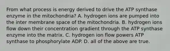 From what process is energy derived to drive the ATP synthase enzyme in the mitochondria? A. hydrogen ions are pumped into the inter membrane space of the mitochondria. B. hydrogen ions flow down their concentration gradient through the ATP synthase enzyme into the matrix. C. hydrogen ion flow powers ATP synthase to phosphorylate ADP. D. all of the above are true.