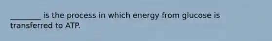 ________ is the process in which energy from glucose is transferred to ATP.