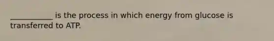 ___________ is the process in which energy from glucose is transferred to ATP.