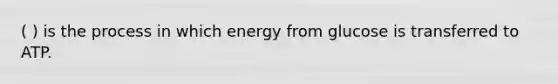 ( ) is the process in which energy from glucose is transferred to ATP.