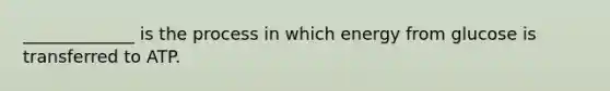 _____________ is the process in which energy from glucose is transferred to ATP.