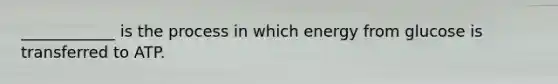 ____________ is the process in which energy from glucose is transferred to ATP.