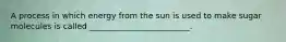 A process in which energy from the sun is used to make sugar molecules is called _________________________.
