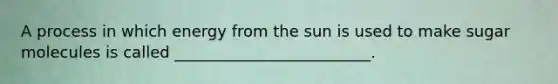 A process in which energy from the sun is used to make sugar molecules is called _________________________.