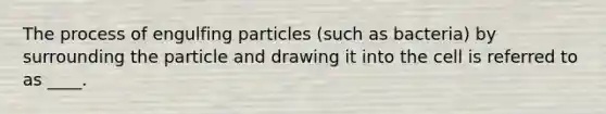 The process of engulfing particles (such as bacteria) by surrounding the particle and drawing it into the cell is referred to as ____.