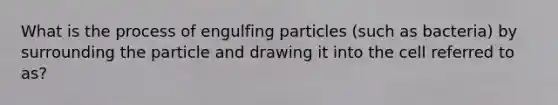 What is the process of engulfing particles (such as bacteria) by surrounding the particle and drawing it into the cell referred to as?