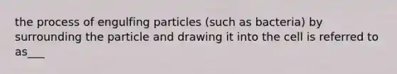 the process of engulfing particles (such as bacteria) by surrounding the particle and drawing it into the cell is referred to as___