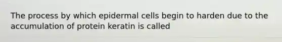 The process by which epidermal cells begin to harden due to the accumulation of protein keratin is called