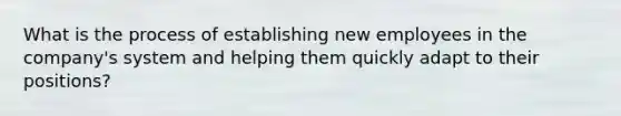 What is the process of establishing new employees in the company's system and helping them quickly adapt to their positions?