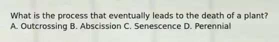 What is the process that eventually leads to the death of a plant? A. Outcrossing B. Abscission C. Senescence D. Perennial