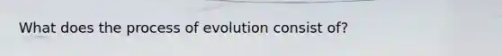 What does the process of evolution consist of?