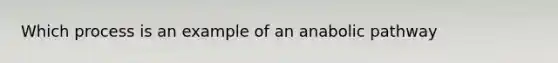 Which process is an example of an anabolic pathway