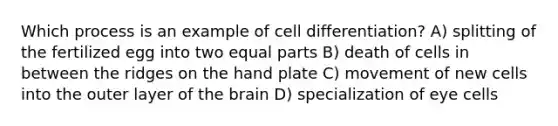 Which process is an example of cell differentiation? A) splitting of the fertilized egg into two equal parts B) death of cells in between the ridges on the hand plate C) movement of new cells into the outer layer of the brain D) specialization of eye cells